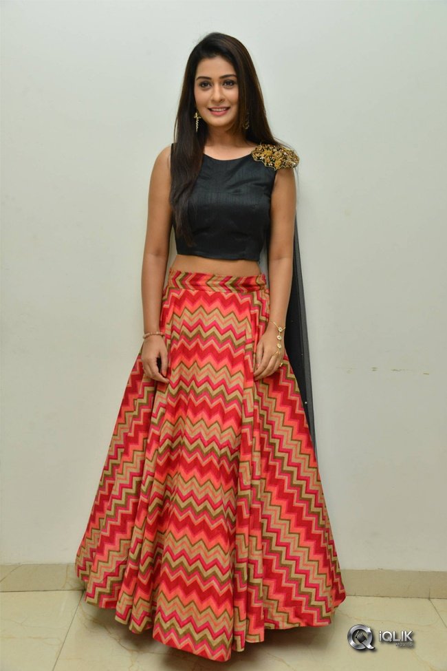 Payal-Rajput-New-Photos